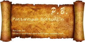 Pattantyus Bottyán névjegykártya